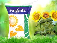      Syngenta