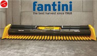   Fantini