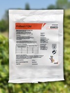     Kofasil FQM