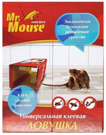 Mr.Mouse      .  