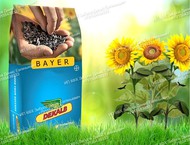     bayer