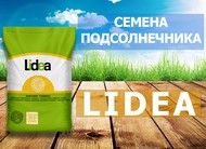     (Lidea)